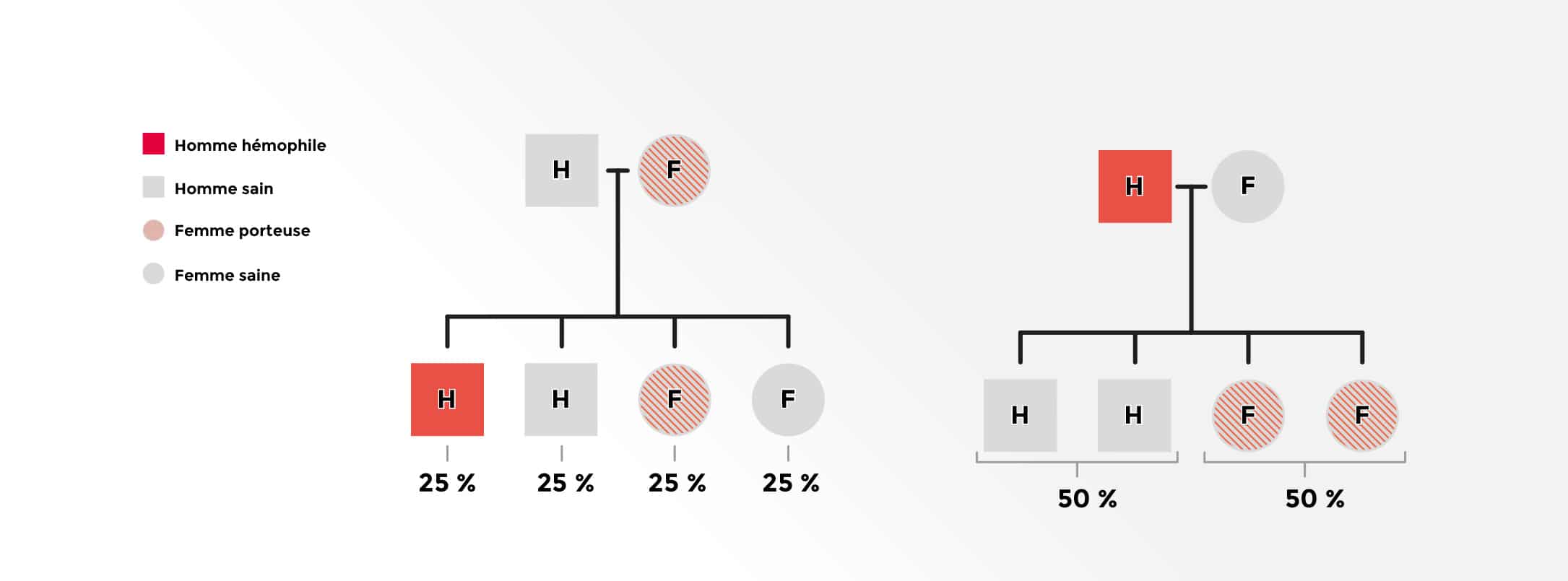 schema maladie génétique